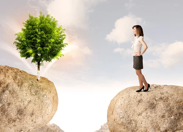 Businesswoman on rock mountain with a tree — Stock Photo, Image