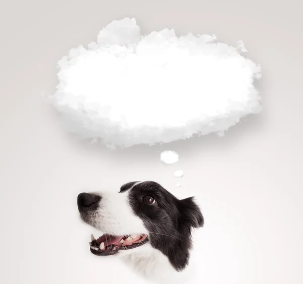 Χαριτωμένο σκυλί με άδειο φούσκα σύννεφο — Φωτογραφία Αρχείου