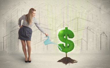 İş kadın poring su Doları ağaç üzerinde şehir backgrou üzerinde kayıt