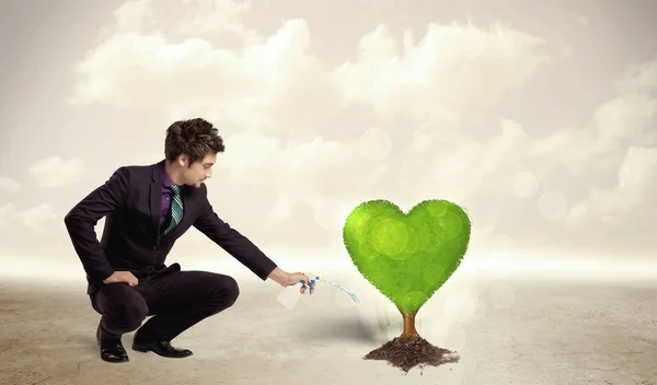 Business man watering heart shaped green tree — Stock Photo, Image