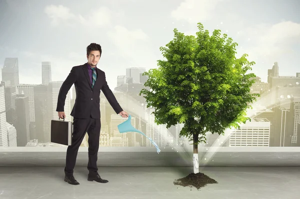 Businessman watering green tree on city background — Stock Photo, Image