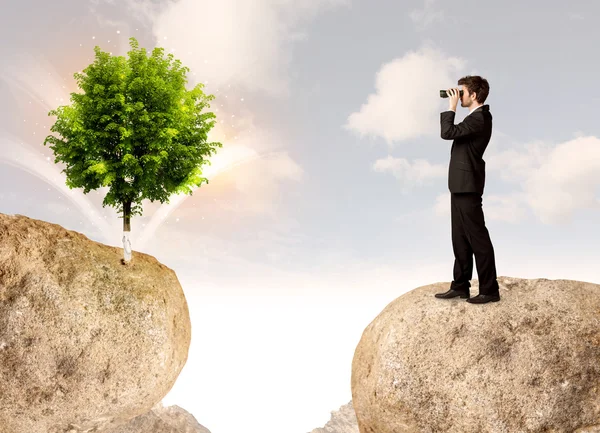 Businessman on rock mountain with a tree — Stock Photo, Image