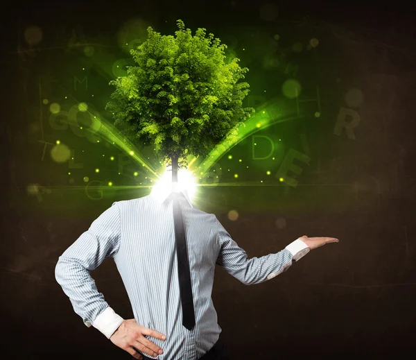 Man with green tree head concept — Stock Photo, Image