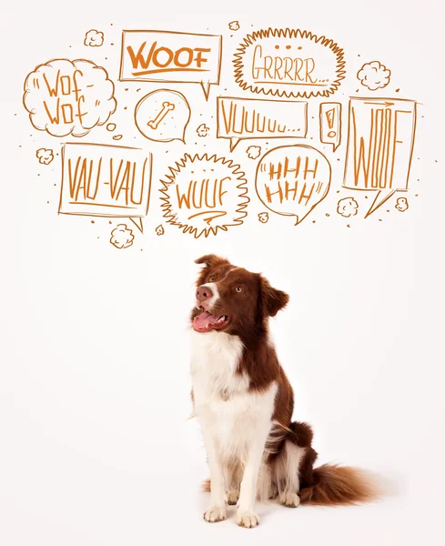 Cute dog with barking bubbles — Stock Photo, Image