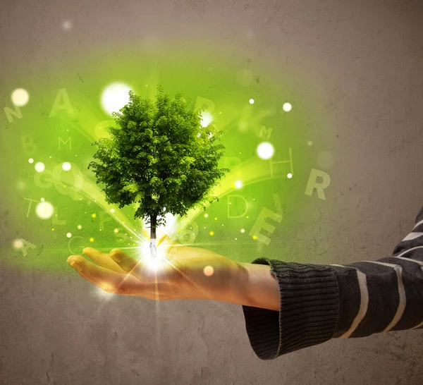 Glowing tree growing in the hand of a woman — Stock Photo, Image