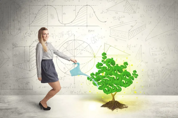 Business woman watering a growing green dollar sign tree — Stock Photo, Image