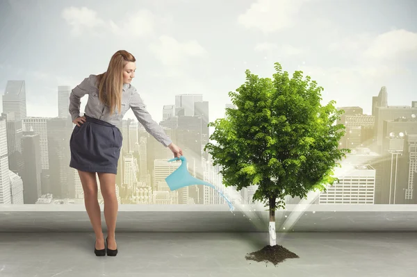 Kobieta interesu podlewania zielone drzewo na tle miasta — Zdjęcie stockowe