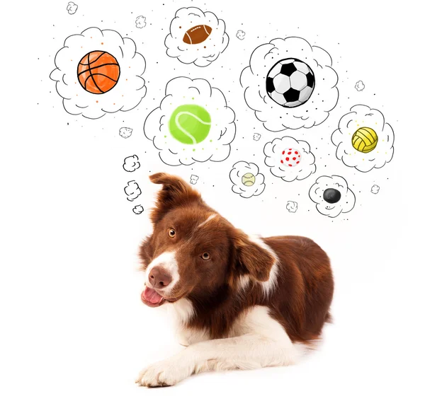 Cute dog with balls in thought bubbles — Stock Photo, Image