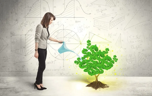 Biznes kobieta podlewania rosnące drzewo zielony znak dolara — Zdjęcie stockowe