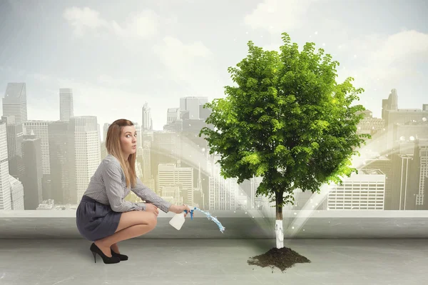 Businesswoman watering green tree on city background — Stock Photo, Image