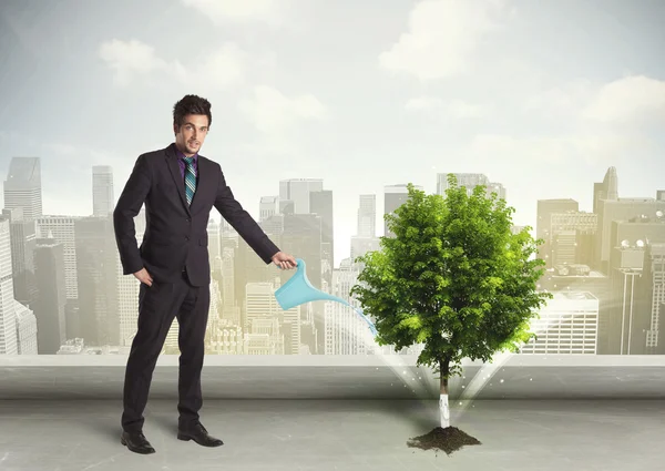 Biznesmen podlewanie zielone drzewo na tle miasta — Zdjęcie stockowe