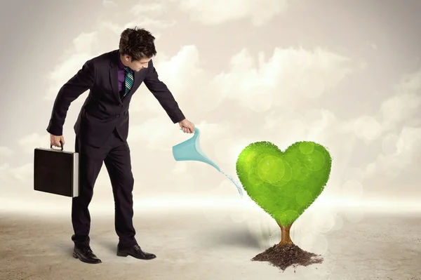 Бизнесмен поливает зеленое дерево в форме сердца — стоковое фото
