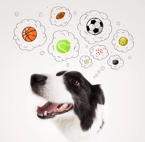 Lindo perro con bolas en burbujas de pensamiento —  Fotos de Stock