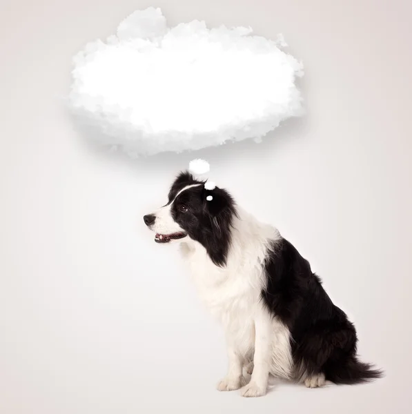 Cute dog with empty cloud bubble — Stock Photo, Image