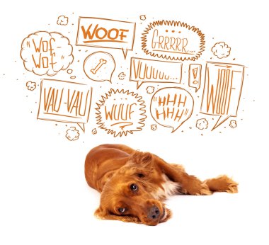 Havlayan köpüklü şirin bir köpek.