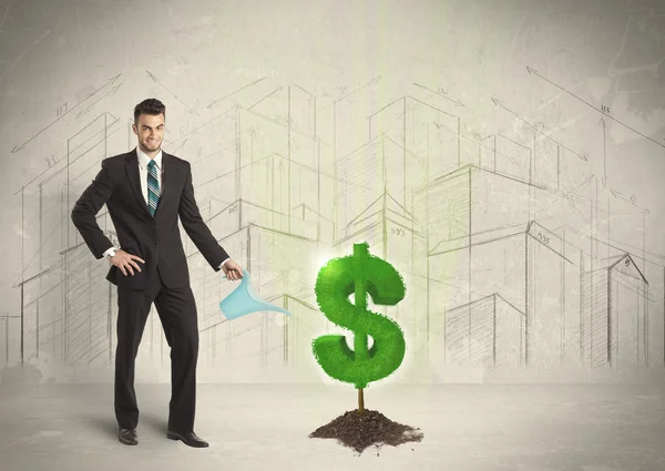 Business man poring water on dollar tree sign on city background — Stock Photo, Image