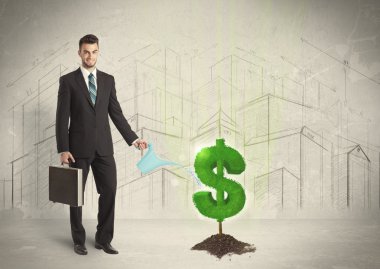 İş adamı, şehrin arka planında dolar ağacı tabelasında suyu süzüyor.