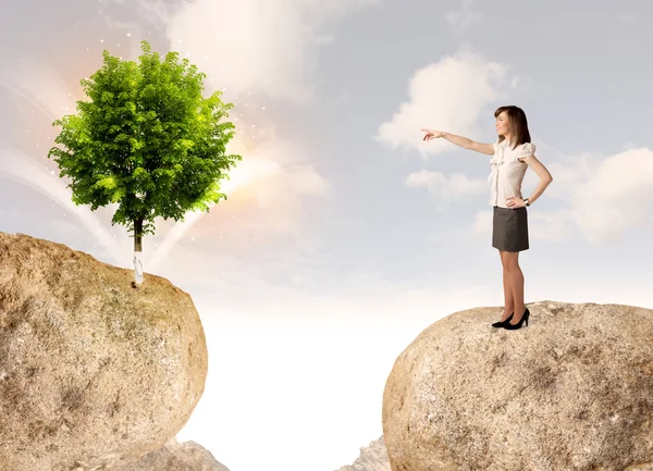 Businesswoman on rock mountain with a tree — Stock Photo, Image