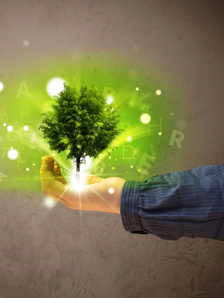 Árvore brilhante crescendo na mão de uma mulher — Fotografia de Stock