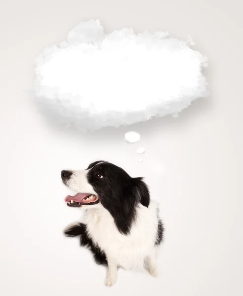 Cão bonito com bolha de nuvem vazia — Fotografia de Stock