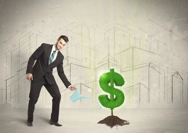 Business man poring water on dollar tree sign on city background — Stock Photo, Image