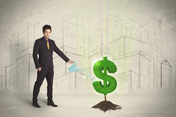 Business man poring water on dollar tree sign on city background — Stock Photo, Image