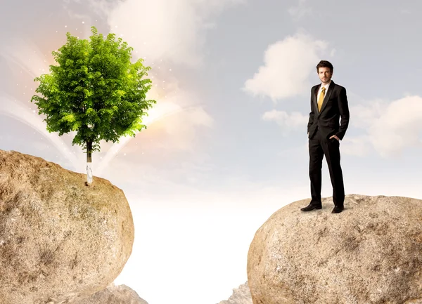 Businessman on rock mountain with a tree — Stock Photo, Image