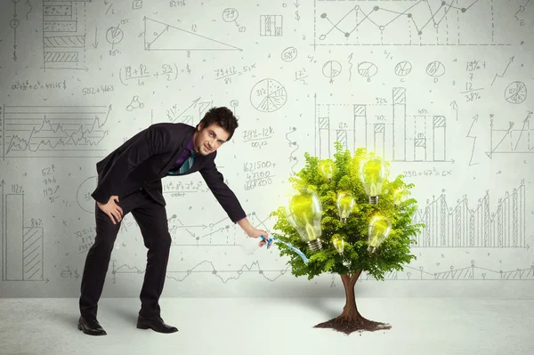 Business man pouring water on lightbulb growing tree — Stock Photo, Image