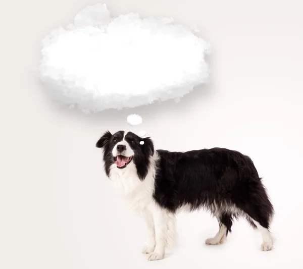 Cute dog with empty cloud bubble — Stock Photo, Image