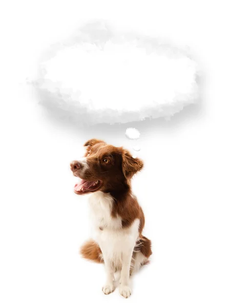 Cute dog with empty cloud bubble — Stock Photo, Image