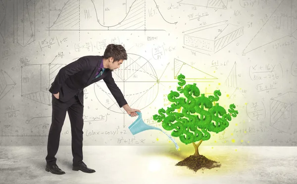 Biznes człowiek podlewa rosnące zielone drzewo znak dolara — Zdjęcie stockowe