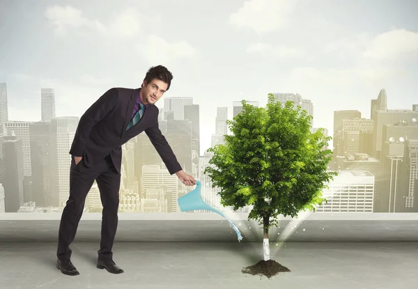Businessman watering green tree on city background — Stock Photo, Image