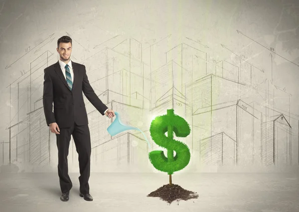 Business man poring water on dollar tree sign on city background — Stock Photo, Image