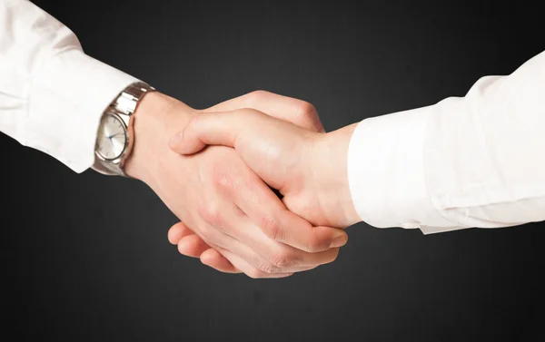 Obchodního partnera handshake — Stock fotografie