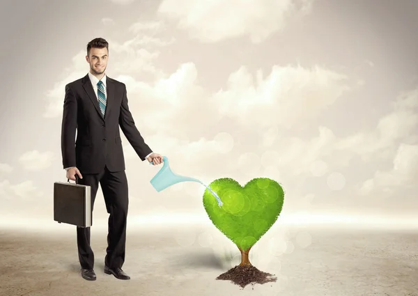 Business man watering heart shaped green tree — Stock Photo, Image