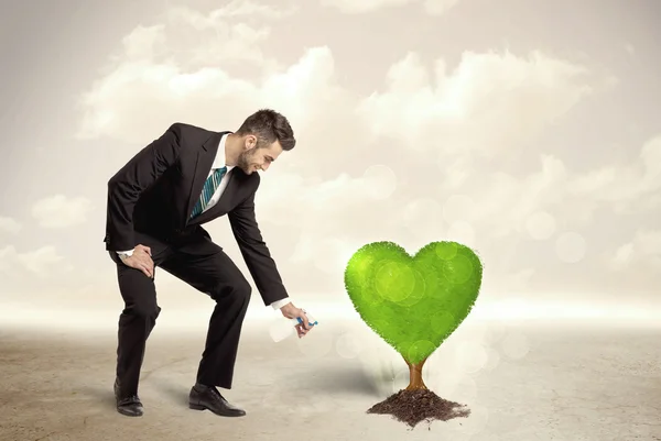 Business man watering heart shaped green tree — Stock Photo, Image