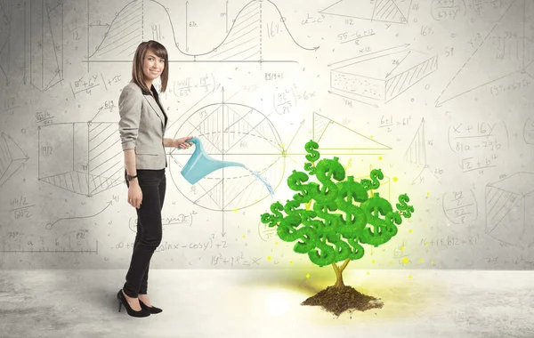 Business woman watering a growing green dollar sign tree — Stock Photo, Image