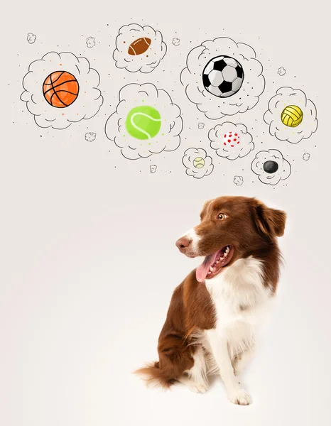 Cute dog with balls in thought bubbles — Stock Photo, Image