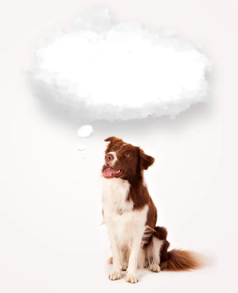 Lindo perro con burbuja de nube vacía — Foto de Stock