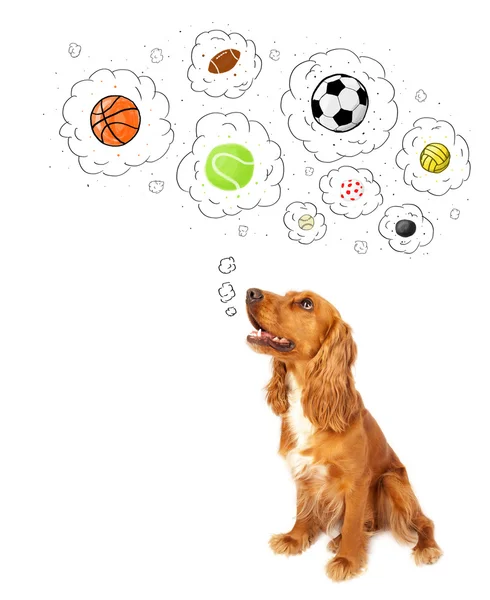 Cute dog with balls in thought bubbles — Stock Photo, Image