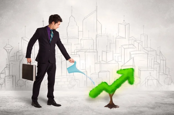 Business man watering green plant arrow — Stock Photo, Image