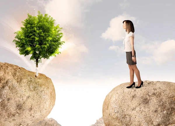 Businesswoman on rock mountain with a tree — Stock Photo, Image