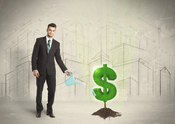 Business man poring water on dollar tree sign on city background — Stock Photo, Image