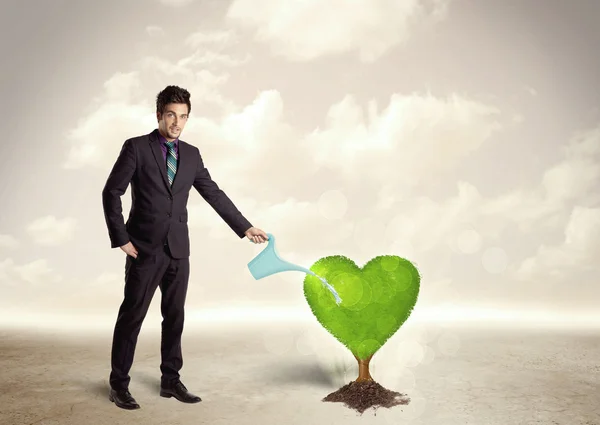 Business man watering heart shaped green tree — Stock Photo, Image