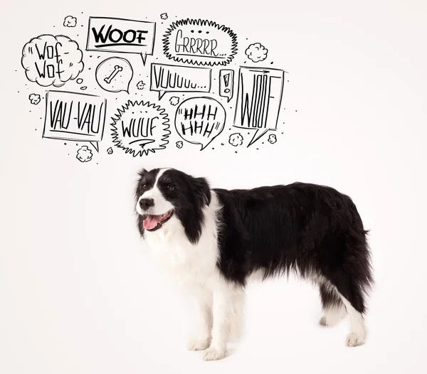 Cute dog with barking bubbles — Stock Photo, Image