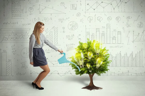 Business woman pouring water on lightbulb growing tree — Stock Photo, Image