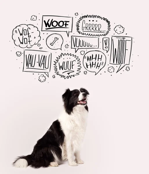 Leuke hond met blaffende belletjes — Stockfoto