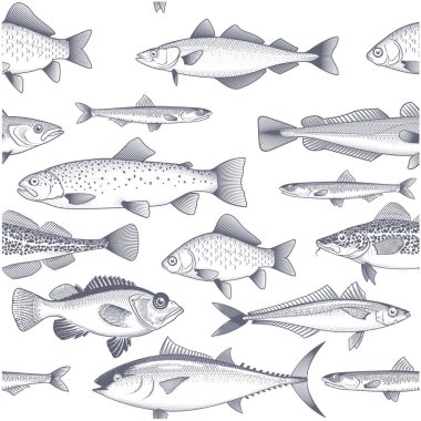 Seamless fish background, pattern of tuna, trout, mackerel and other commercial fish and seafood wallpaper, vector clipart