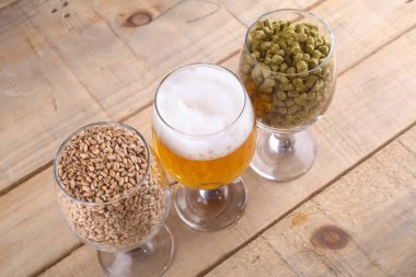 Light bira ve malzemeler
