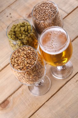 Light bira ve malzemeler